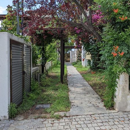 Melina Apartments Nikiti  Dış mekan fotoğraf